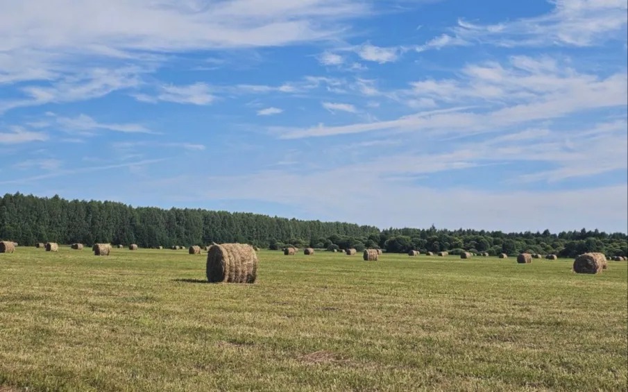 В Нижегородской области выполнено более половины запланированного объема кормозаготовительных работ